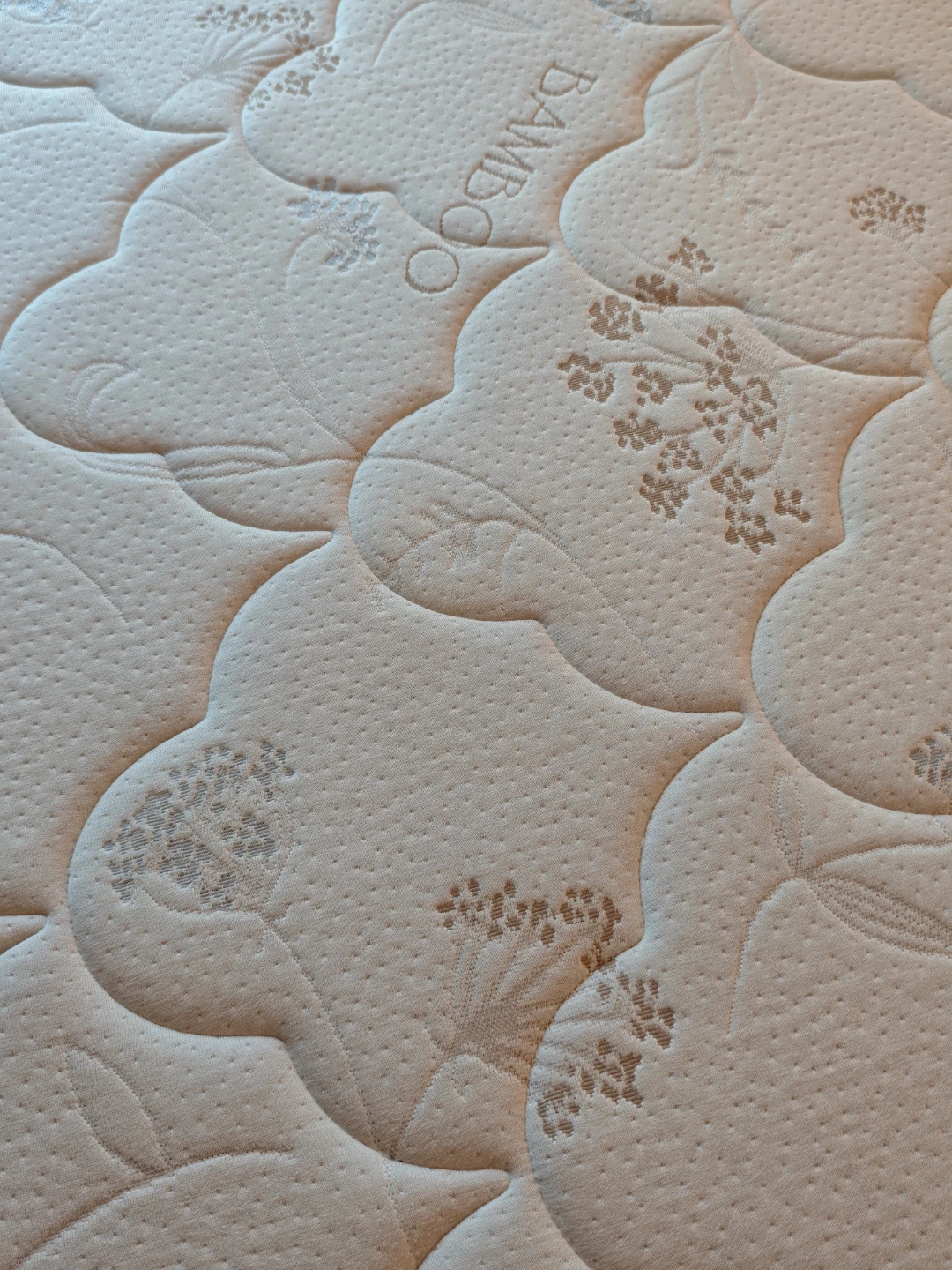 Beautyrest Evolution Charleston Queen Mattress - photo 3