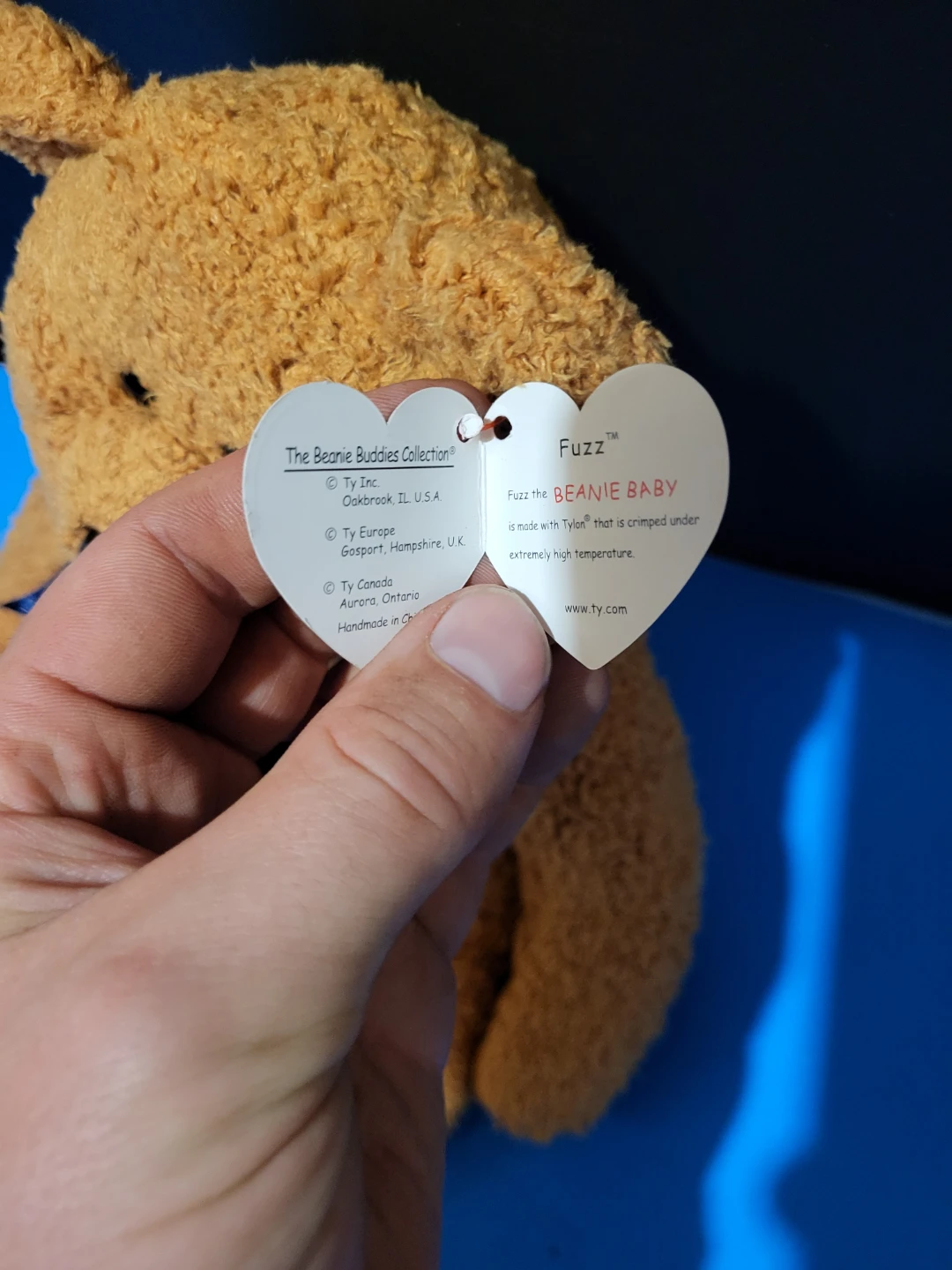 Ty Beanie Buddy Fuzz the Bear - photo 2