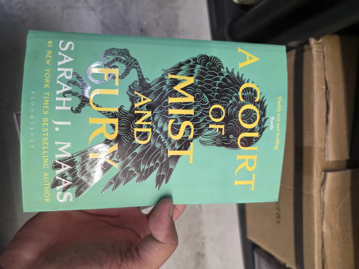 A Court of Thorns and Roses Series by Sarah J. Maas Box Set - photo 3