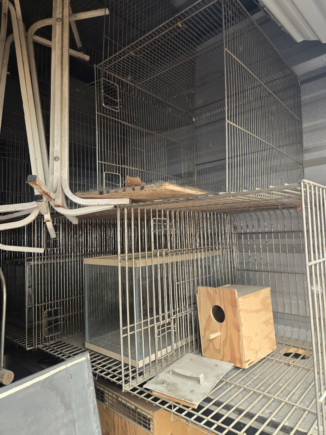 Assorted Cages and Pet Carriers