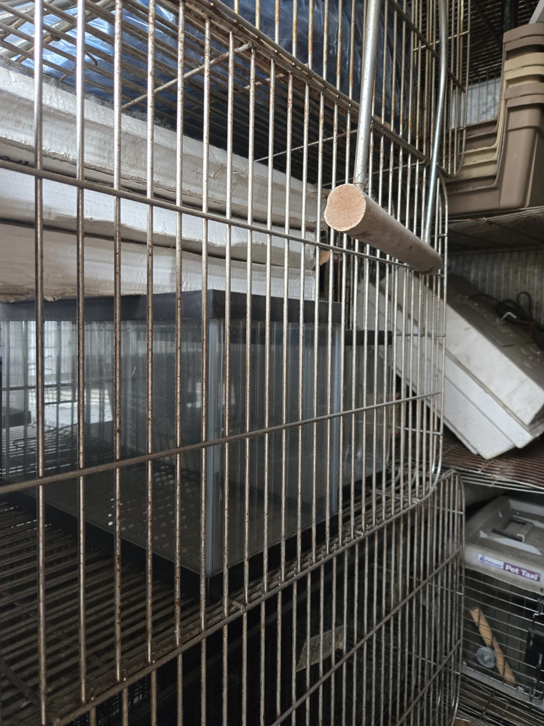 Assorted Cages and Pet Carriers - photo 2