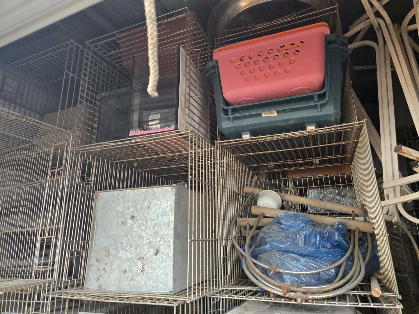 Assorted Cages and Pet Carriers - photo 5