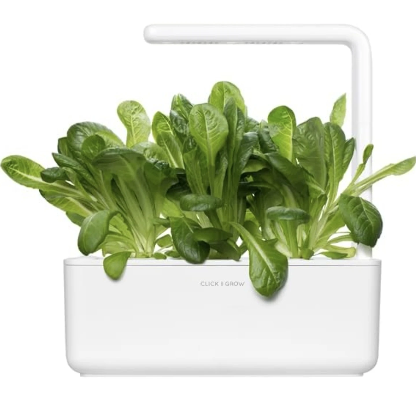 Click and Grow Romaine Lettuce Plant Pods - 9 Pack - photo 2