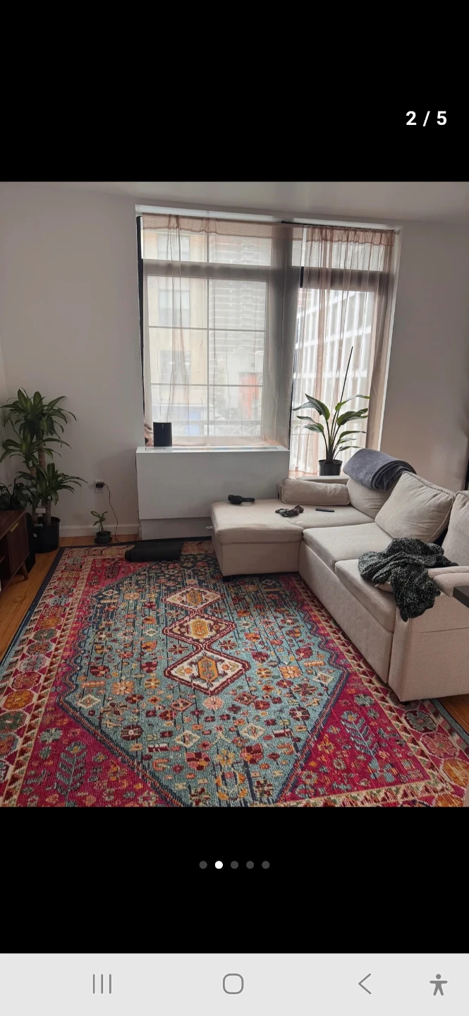 Bohemian Style Area Rug
