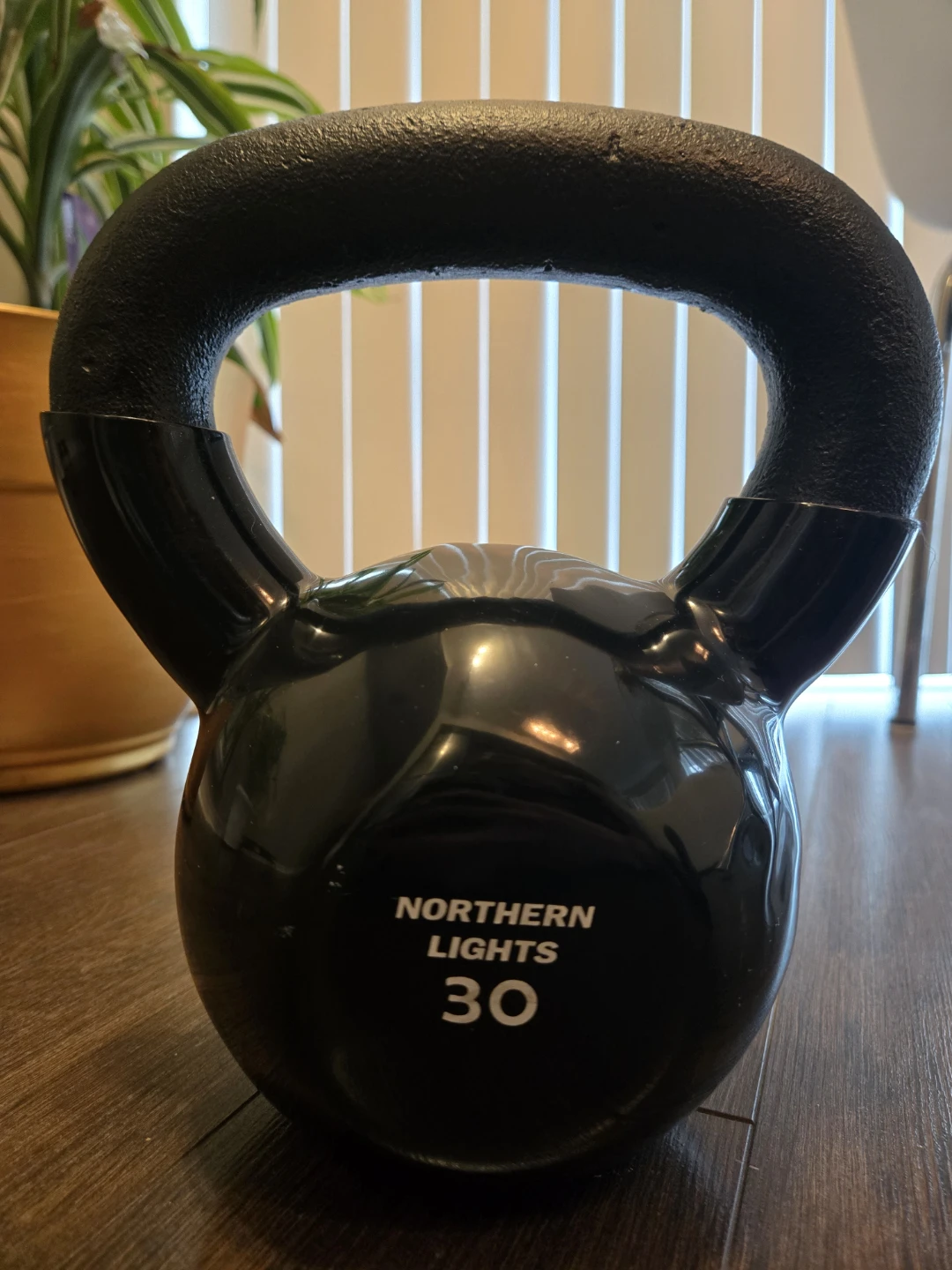 Northern Lights 30lb Kettlebell