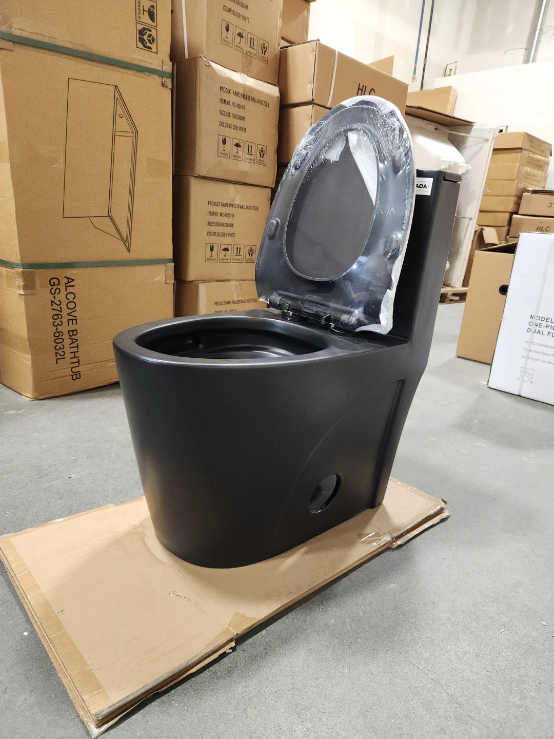 Matt black toilet