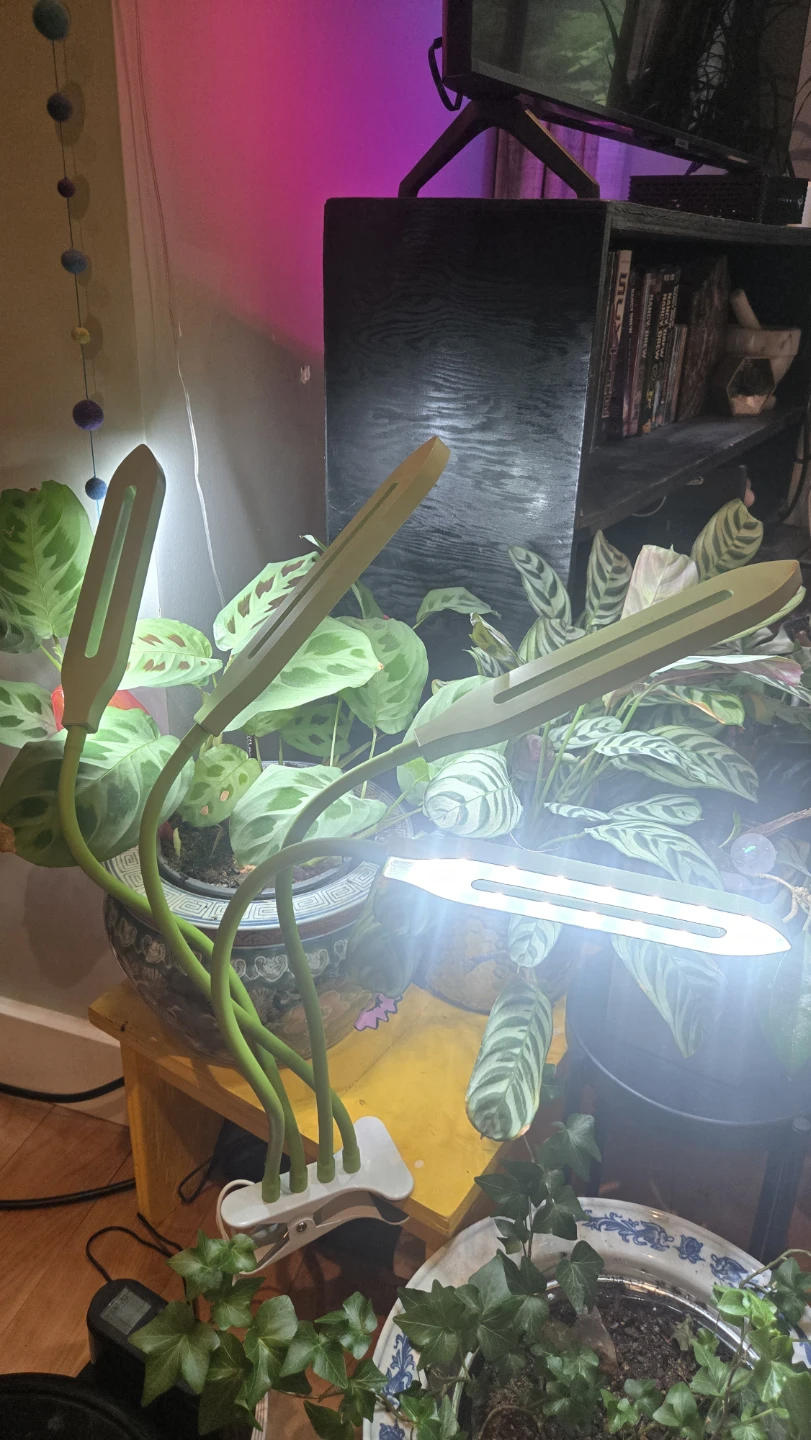 LED Grow Light or Task Light with 4 Flexible Goosenecks - photo 4