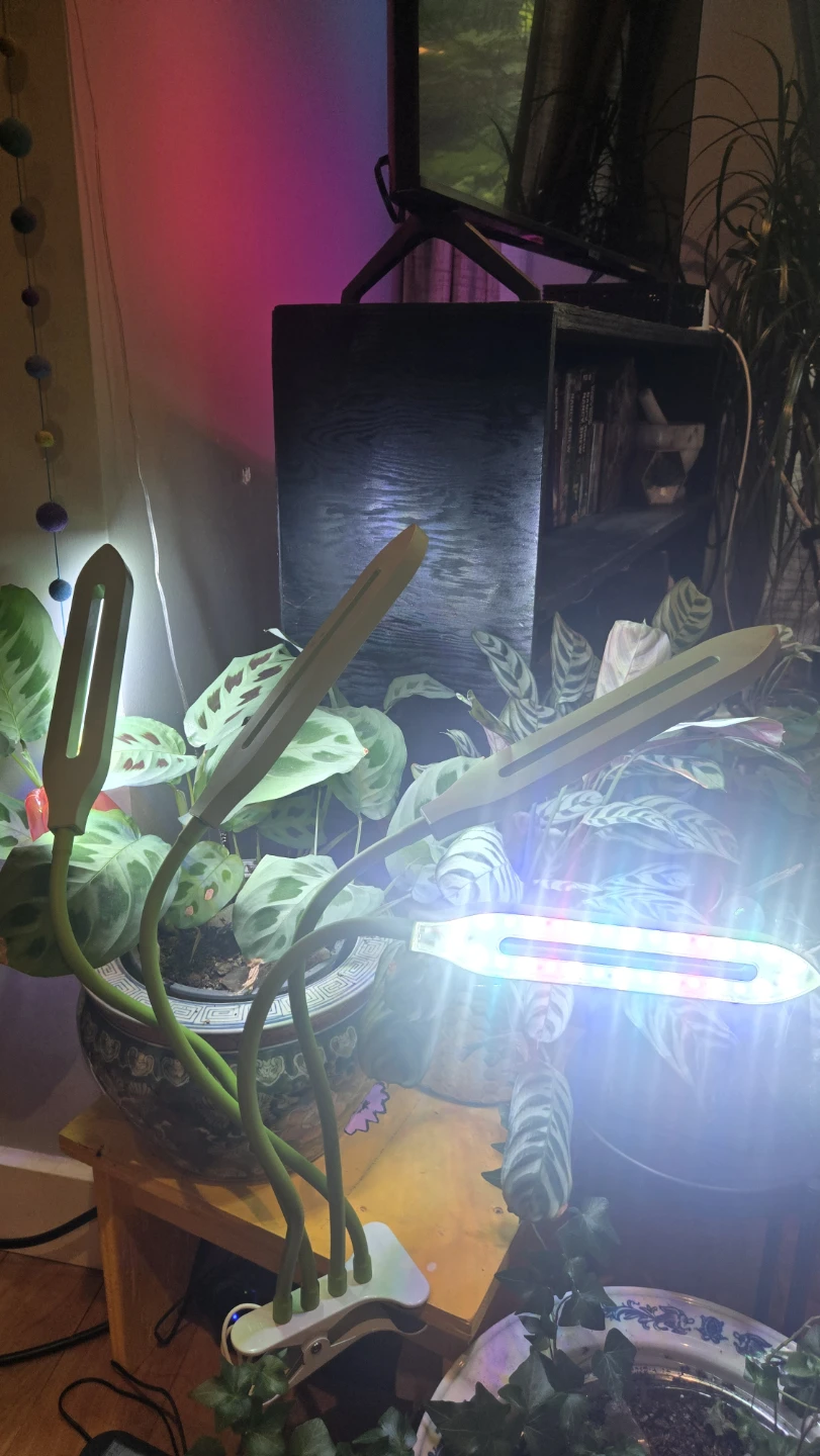 LED Grow Light or Task Light with 4 Flexible Goosenecks - photo 5