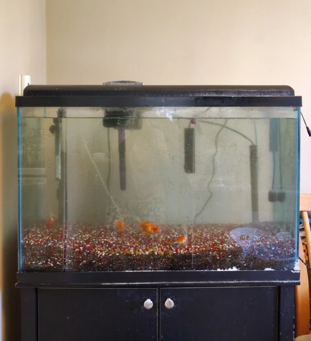 40-50 Gallon Fish Tank / Aquarium (free, Pick up only)