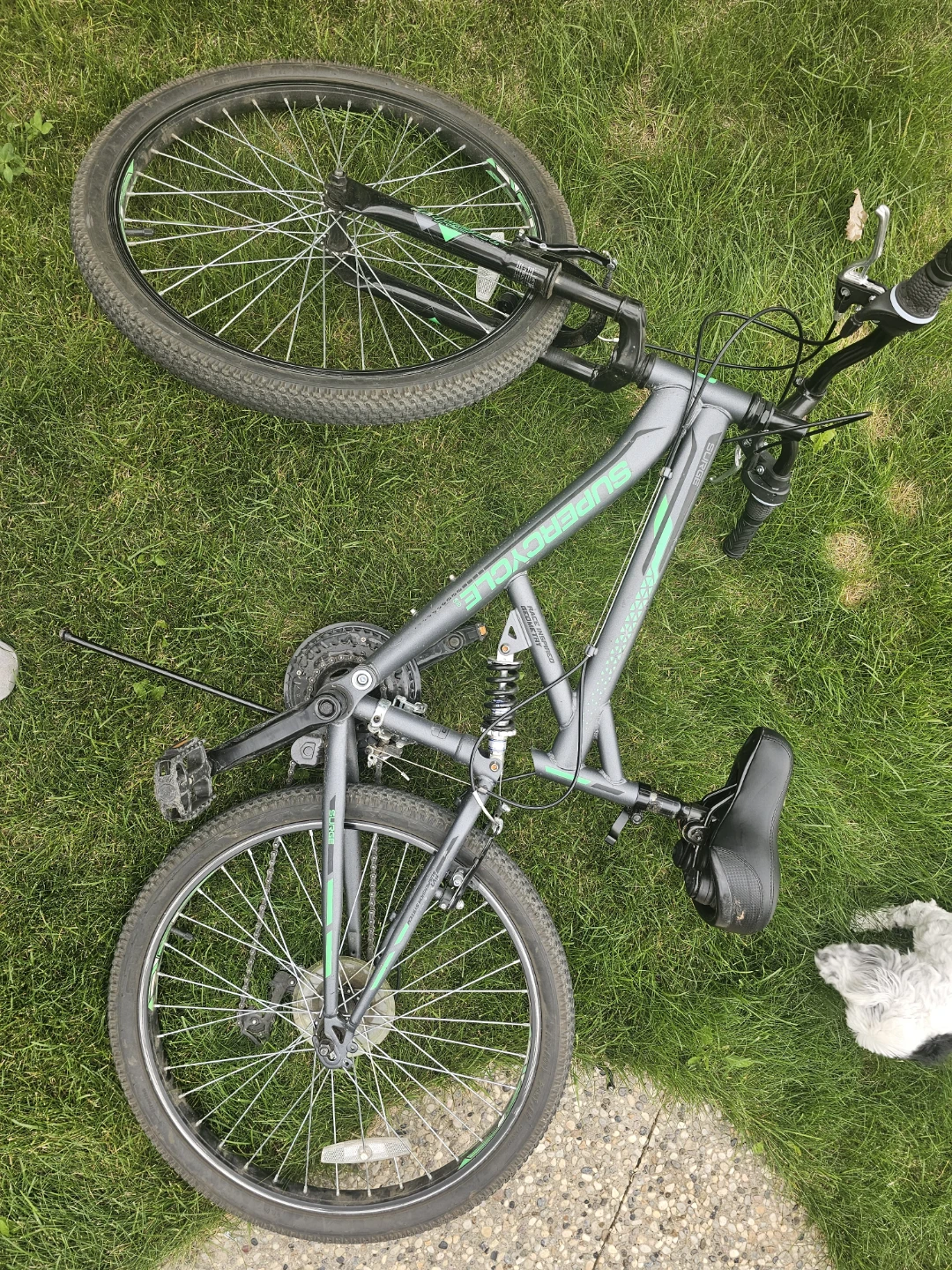 Superman Mountain Bike