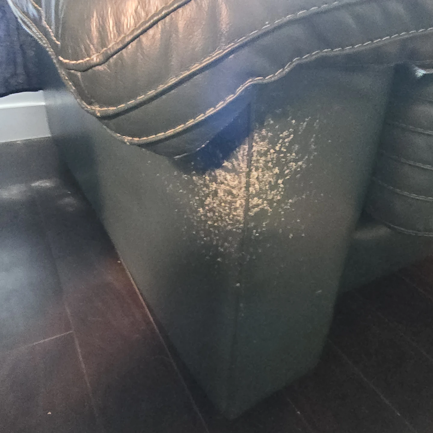 Living Room Furniture  - Moving and need gone! - photo 3