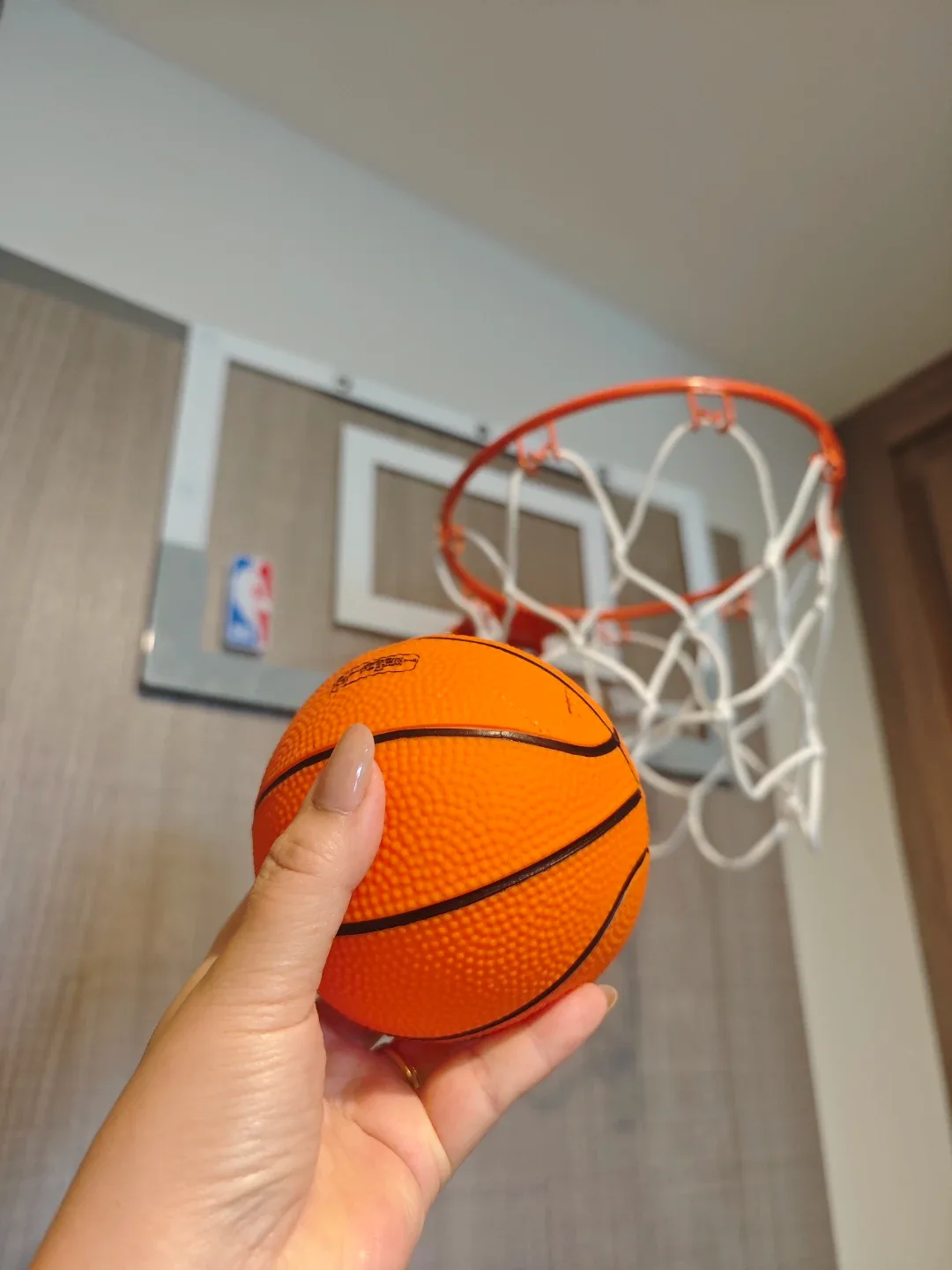 Mini Basketball Hoop with NBA Logo