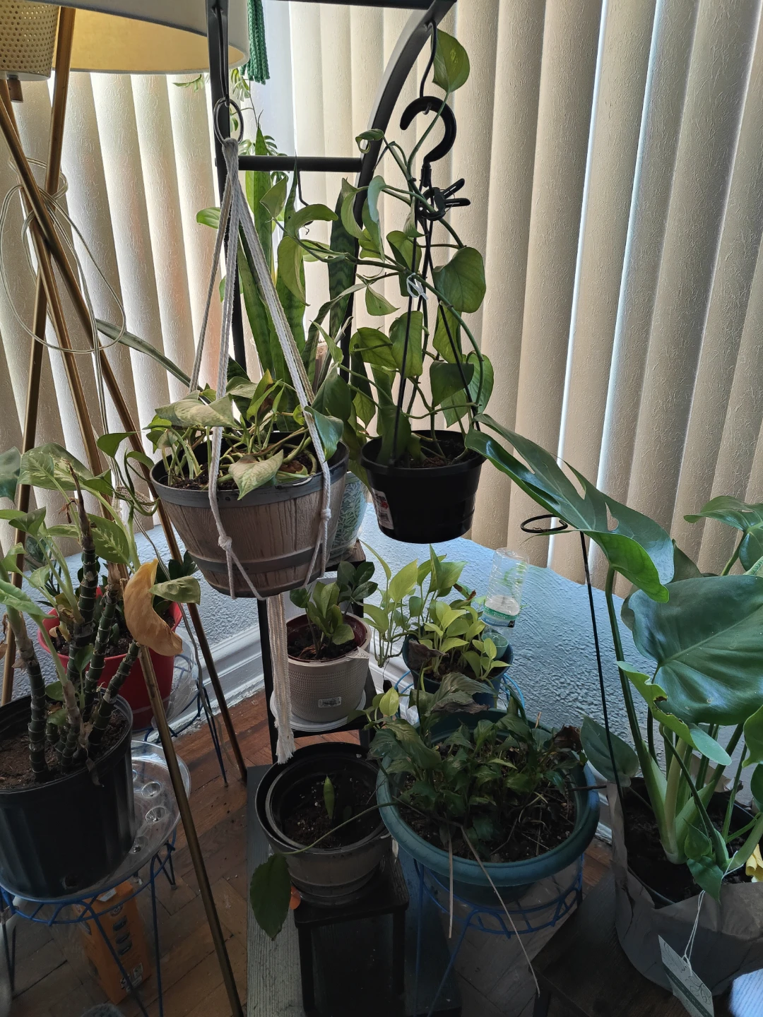 Curve Plant stand - photo 5