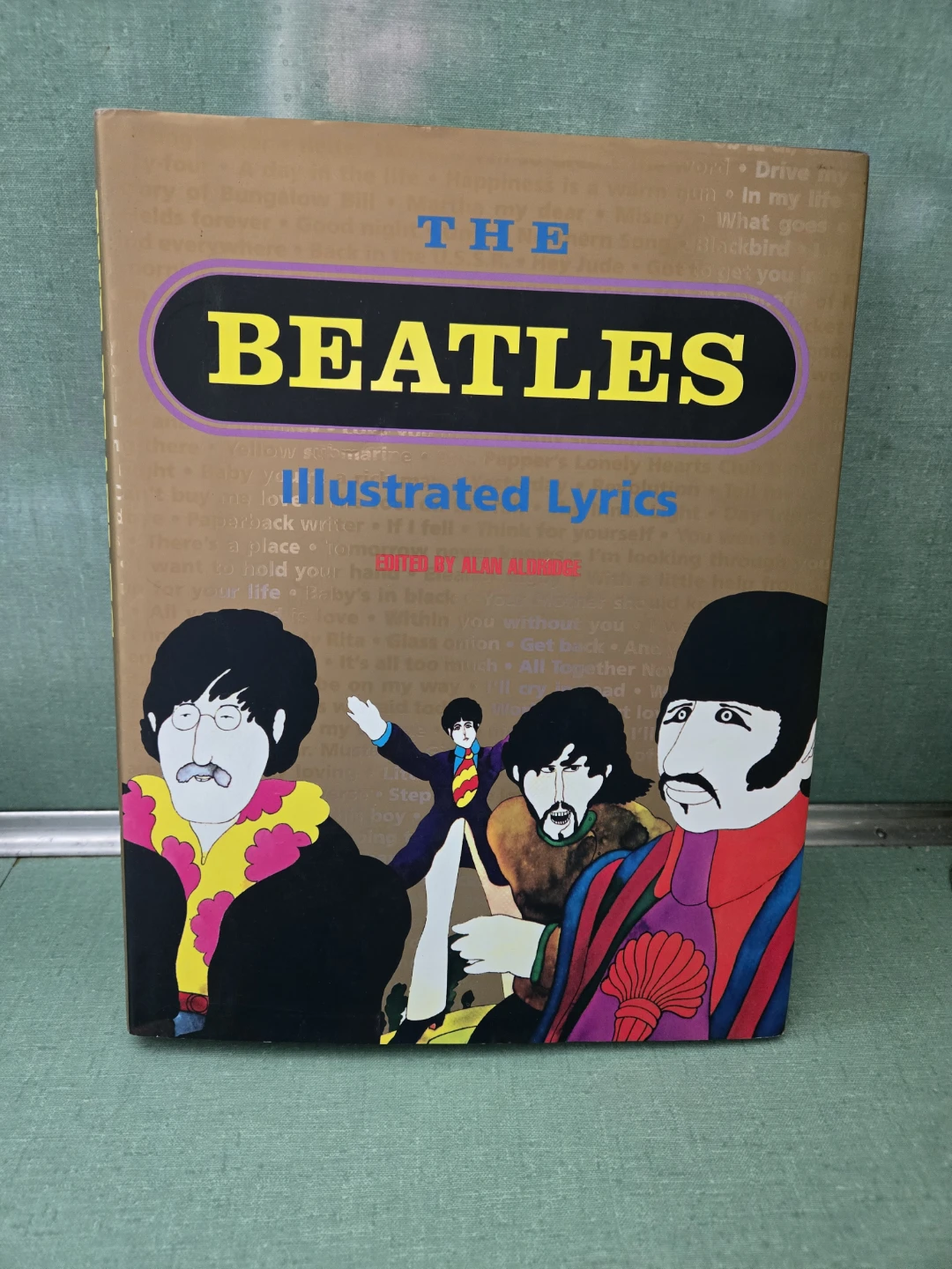 The Beatles Illustrated Lyrics
