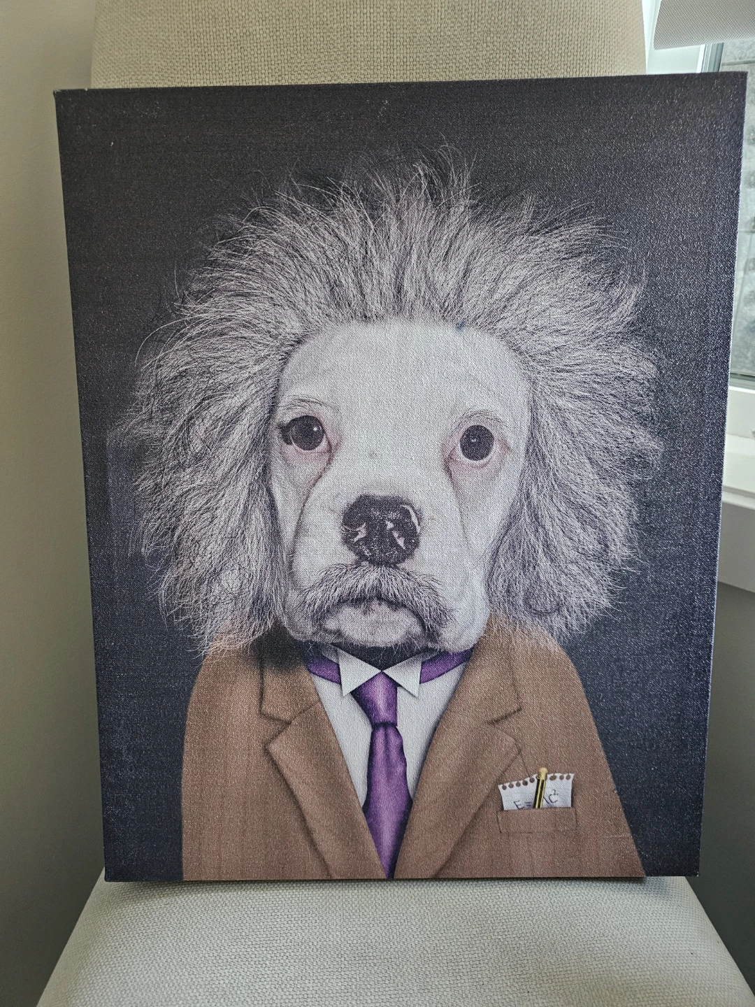 Pets Rock 16x20 Canvas Art Pair - Einstein & Karl Lagerfeld