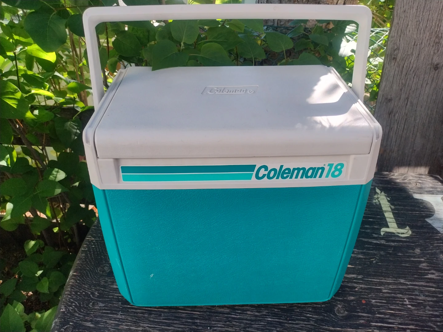 Coleman 18 Cooler - mint condition