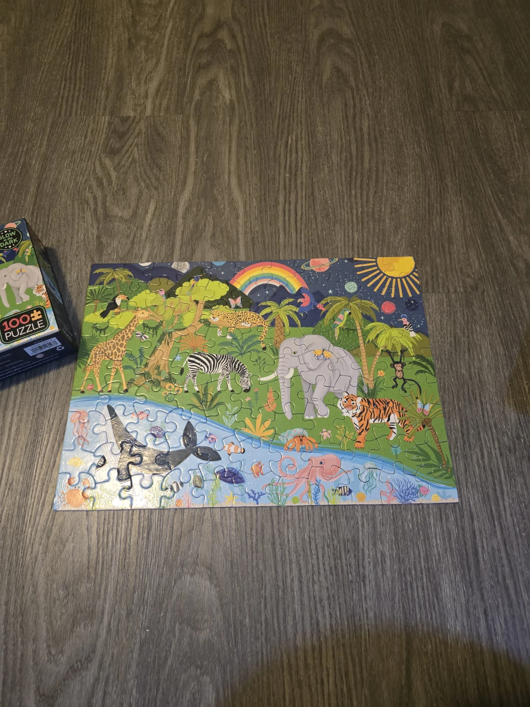 100 Piece Jigsaw Puzzle