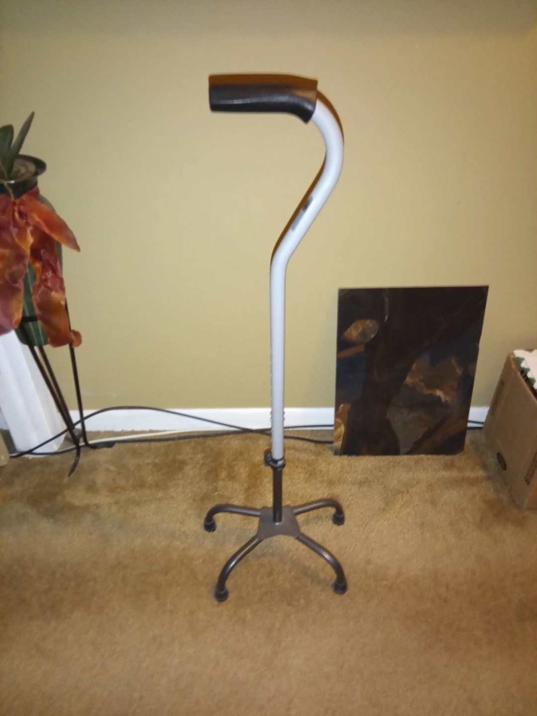 Quad Cane Mobility Aid
