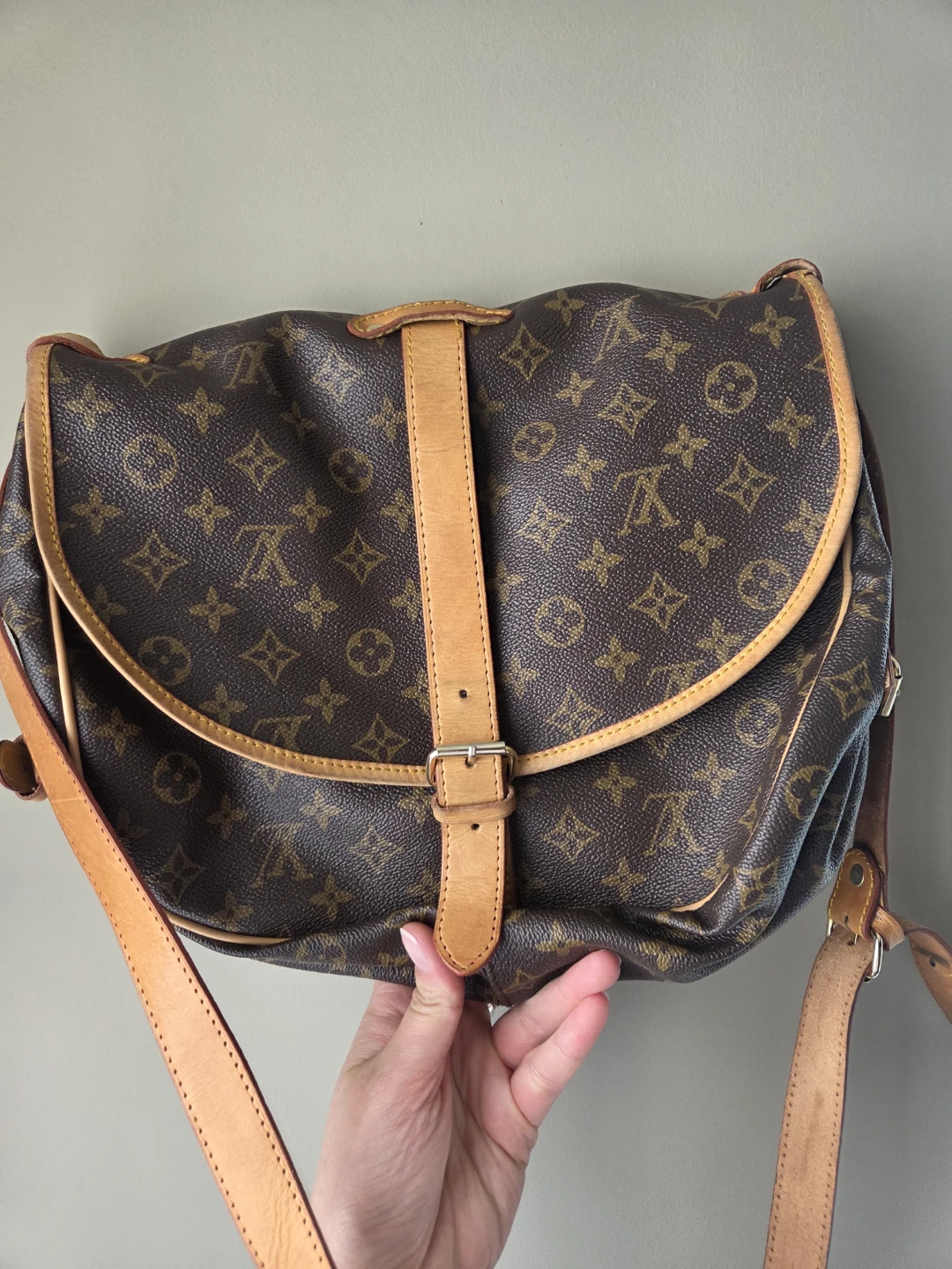 Louis Vuitton Monogram Crossbody Bag