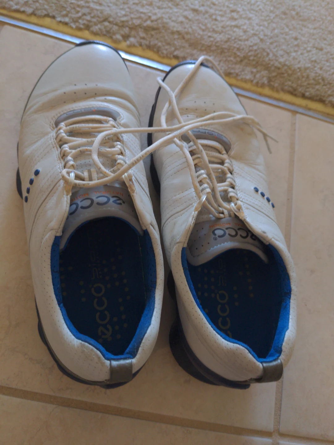 Ecco Biom golf cleats