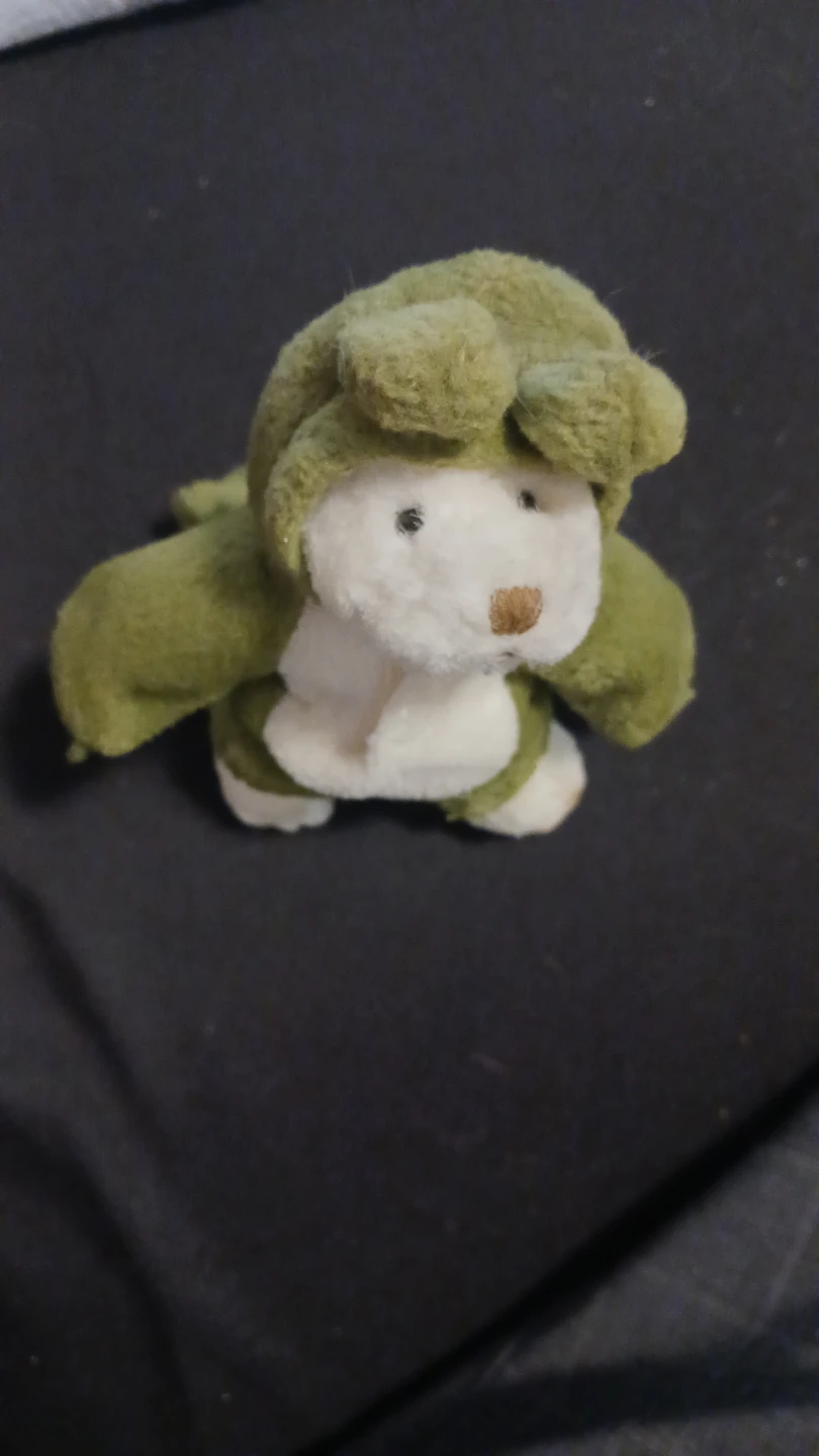Ganz Stuffed Bear in Frog Costume - photo 2