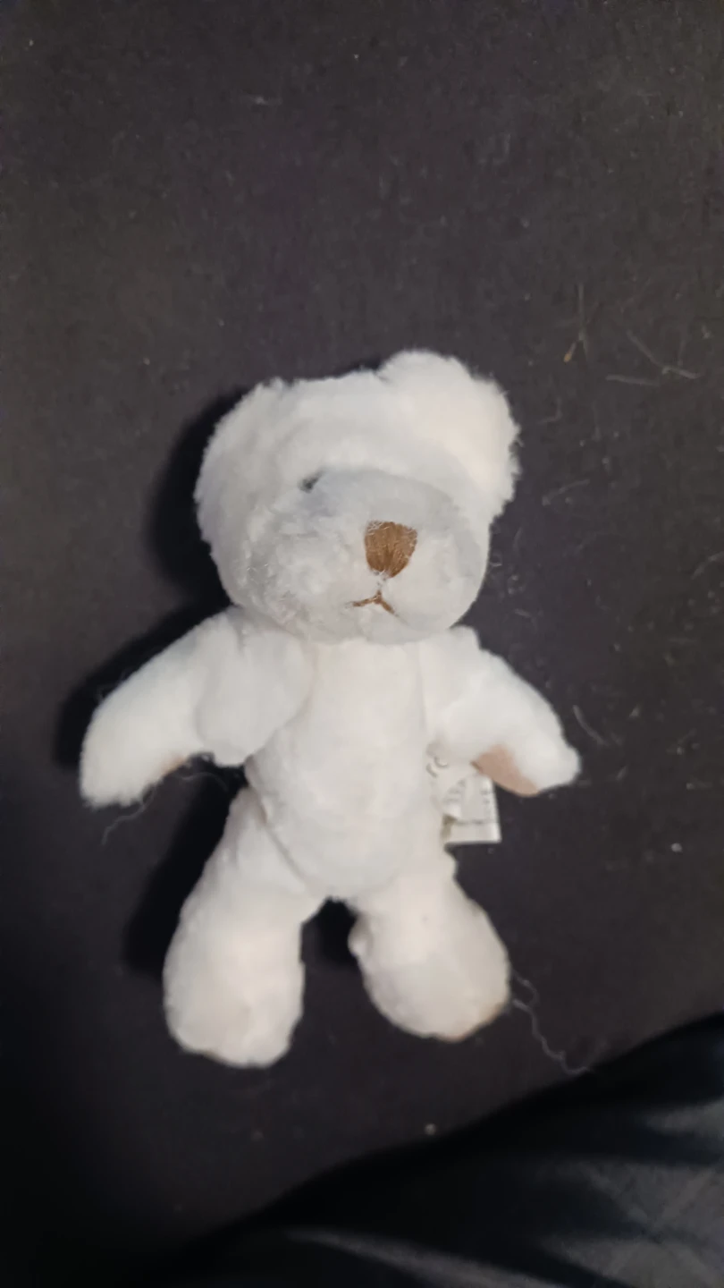 Ganz Stuffed Bear in Frog Costume - photo 4