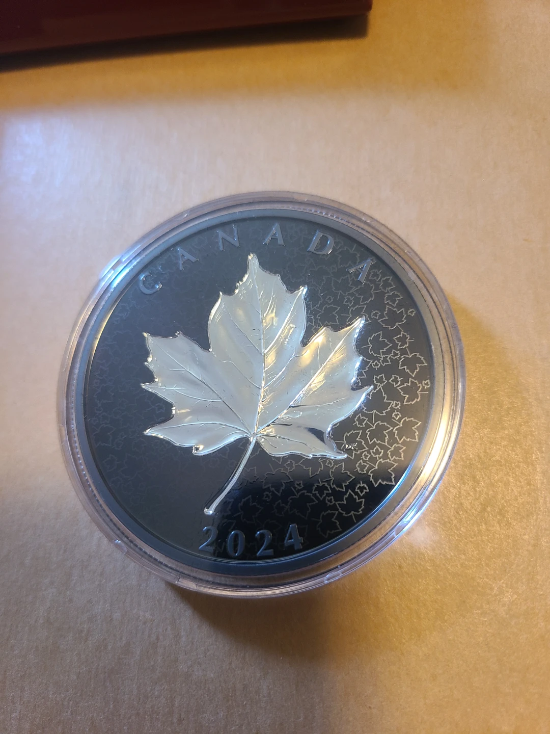 2024 $50 Fine Silver Coin Maple Leaves in Motion - photo 2