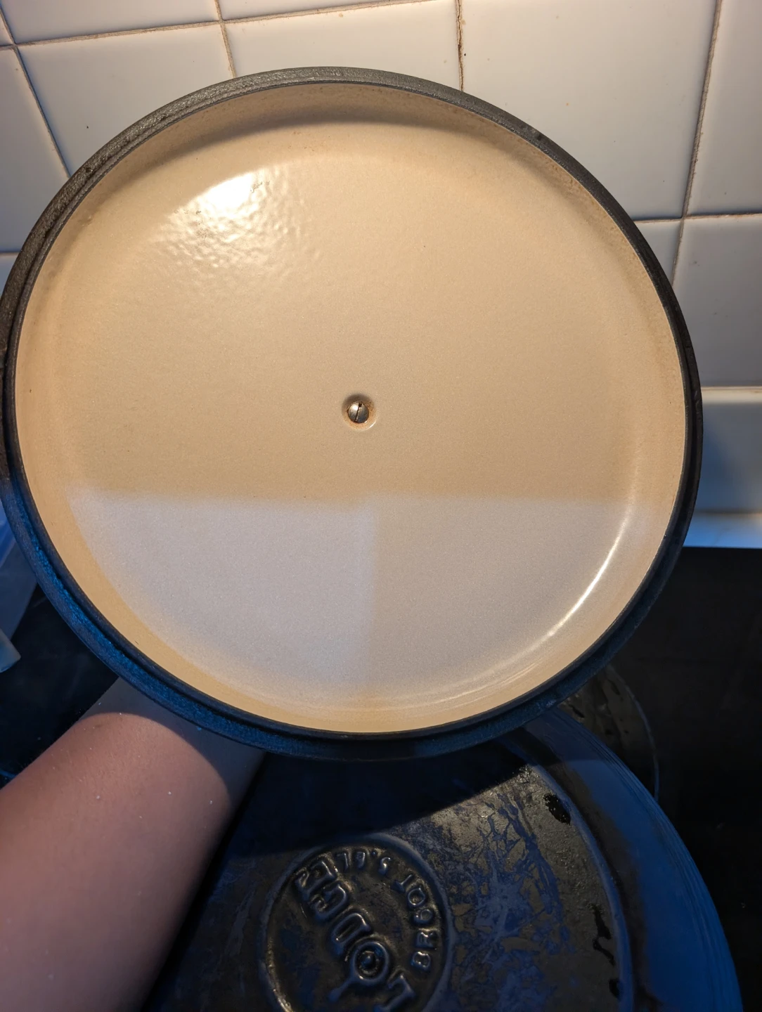 Lodge Blue 6 qt Enamel Dutch Oven - photo 3