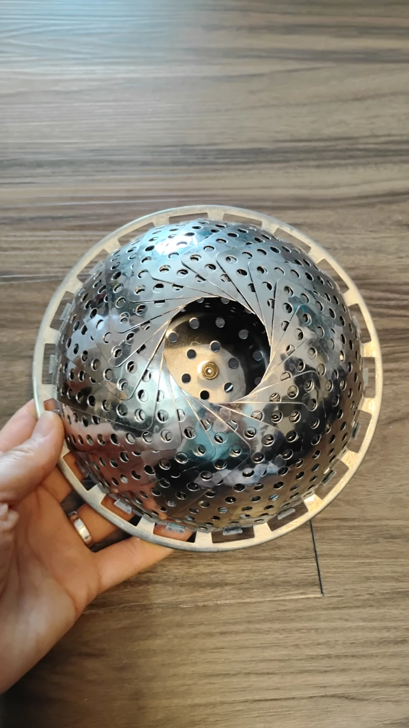 Stainless steel steamer with extendable handle