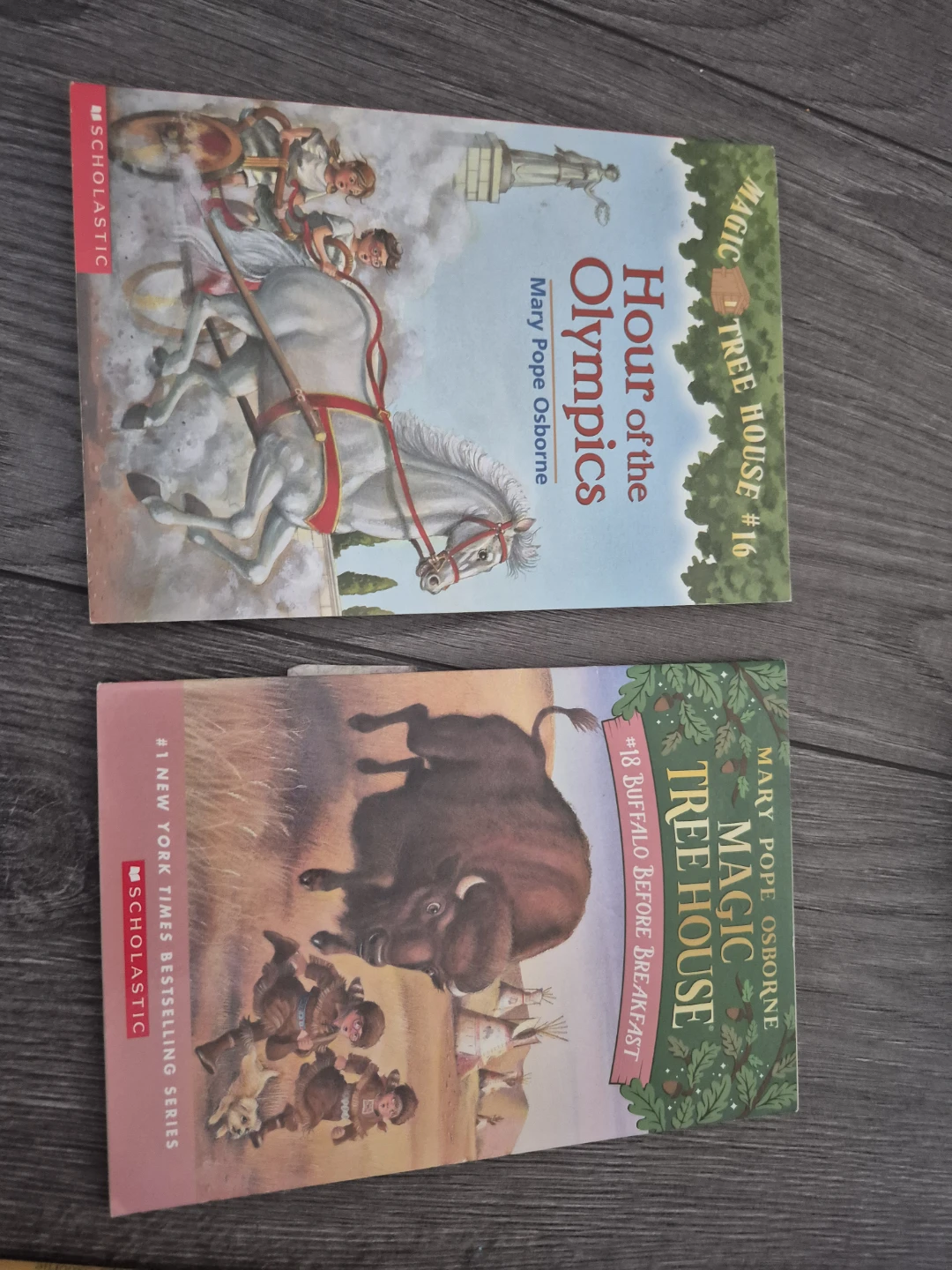 Magic Tree House Book Collection - photo 3