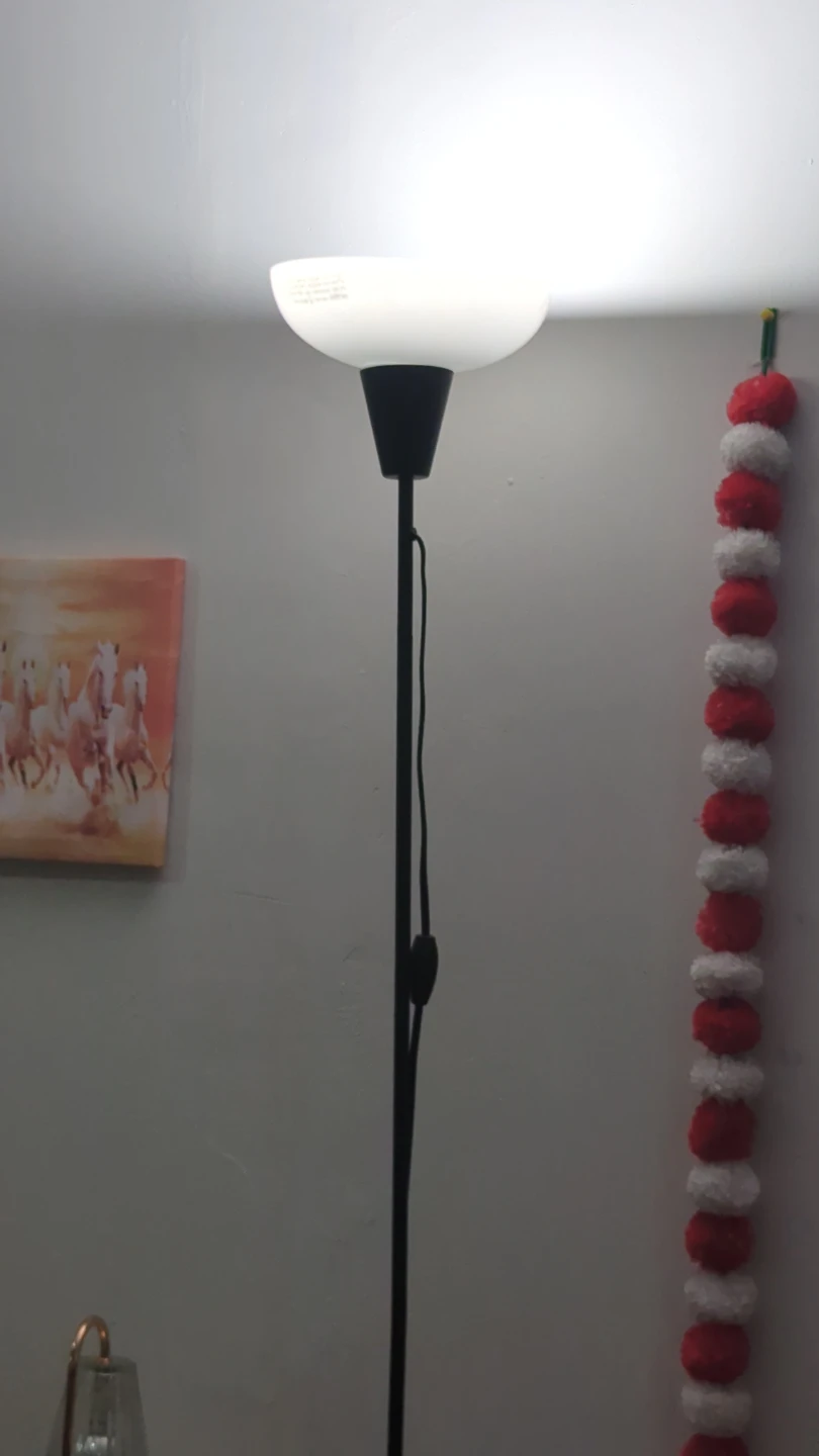 Black Floor Lamp - photo 2