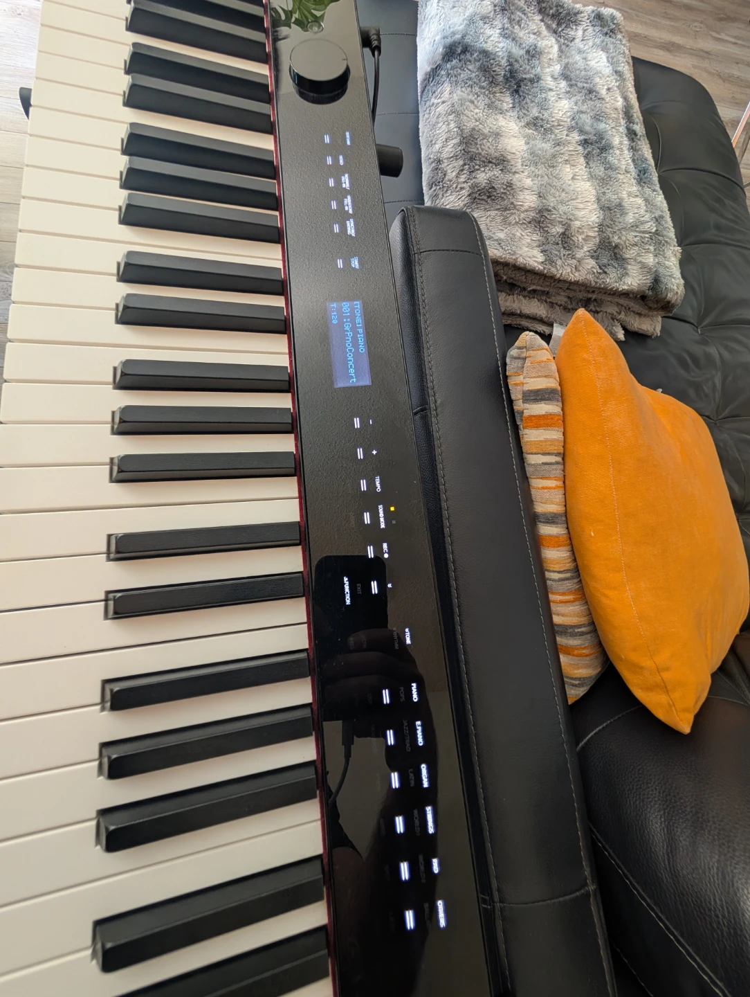 Casio PX-S3000 Digital Piano - photo 2