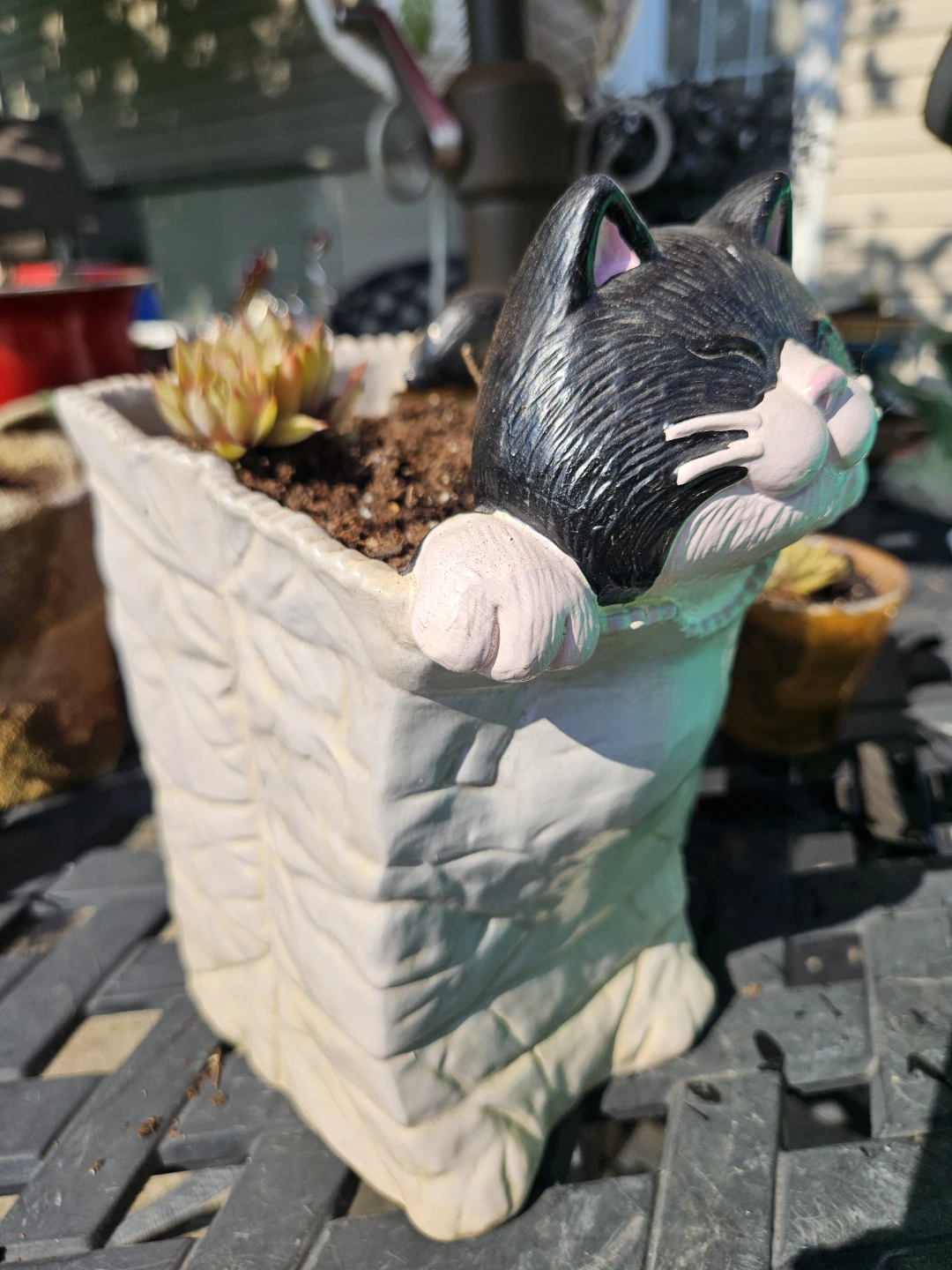 Assorted Decorative Planters with Succulents - photo 4