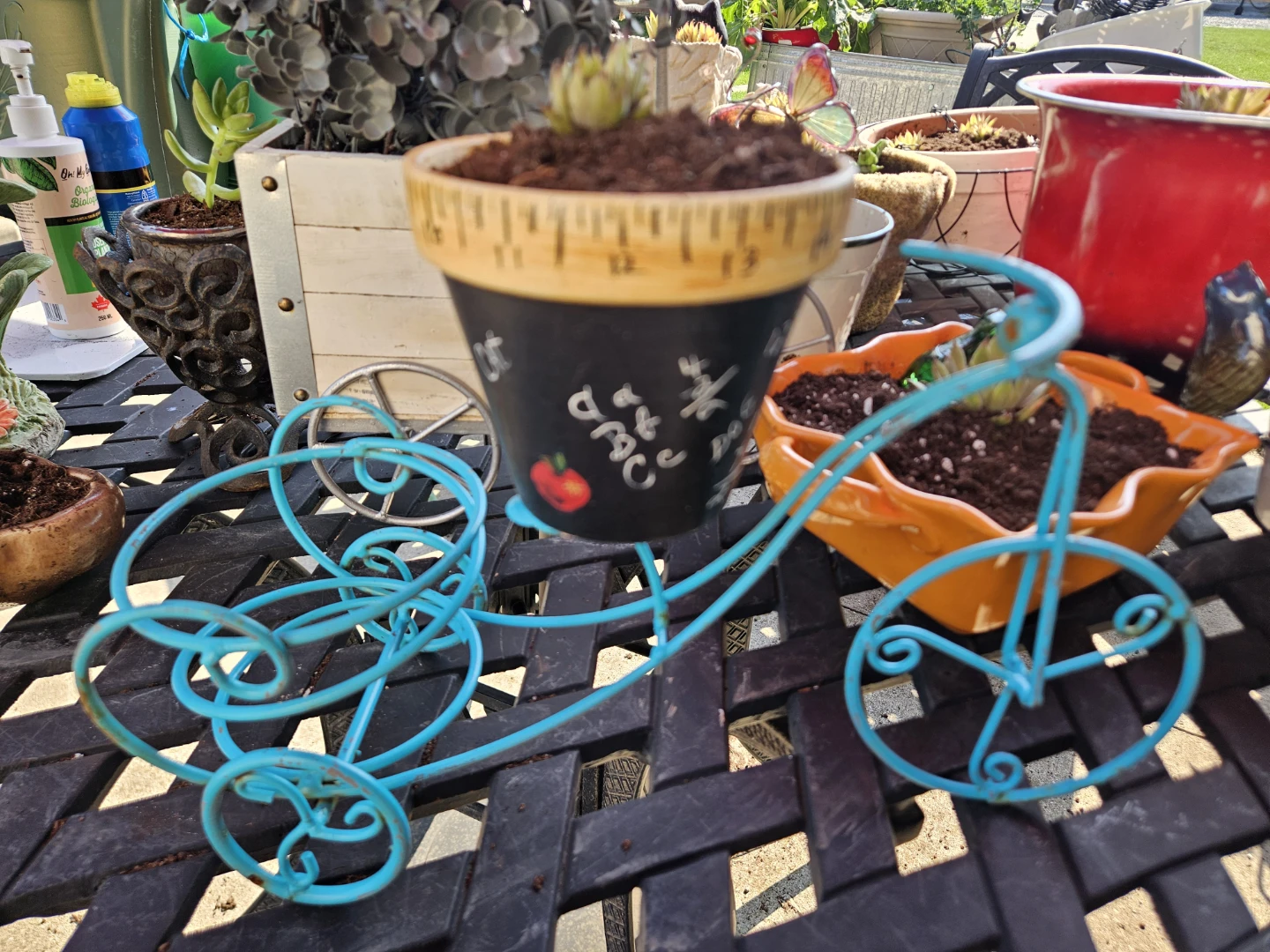 Assorted Decorative Planters with Succulents - photo 5