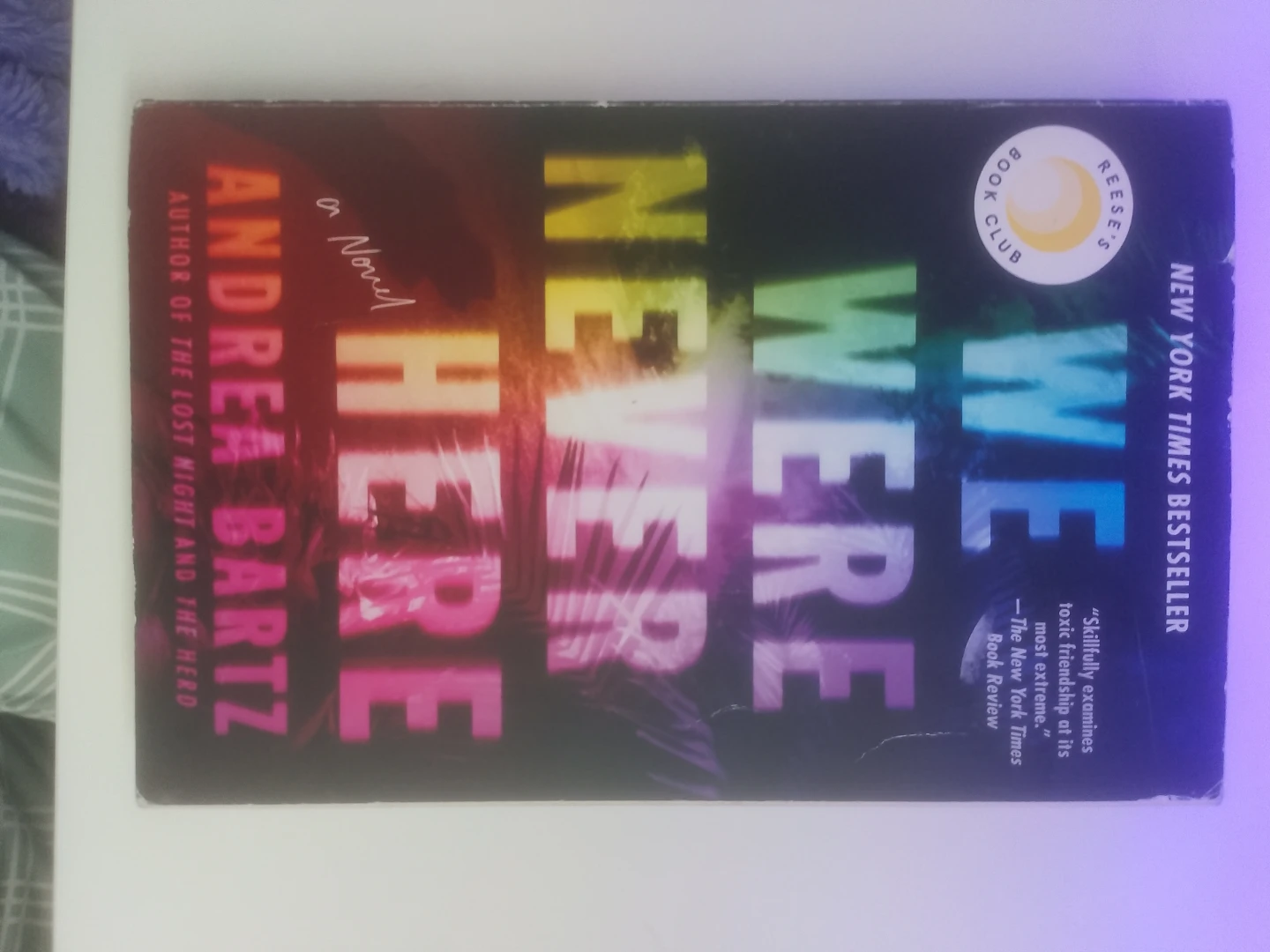 We Were Never Here by Andrea Bartz Novel