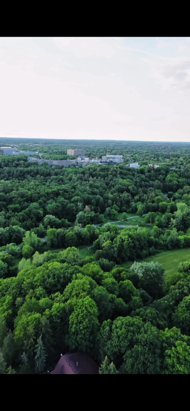 Professional Drone Photography & Videography