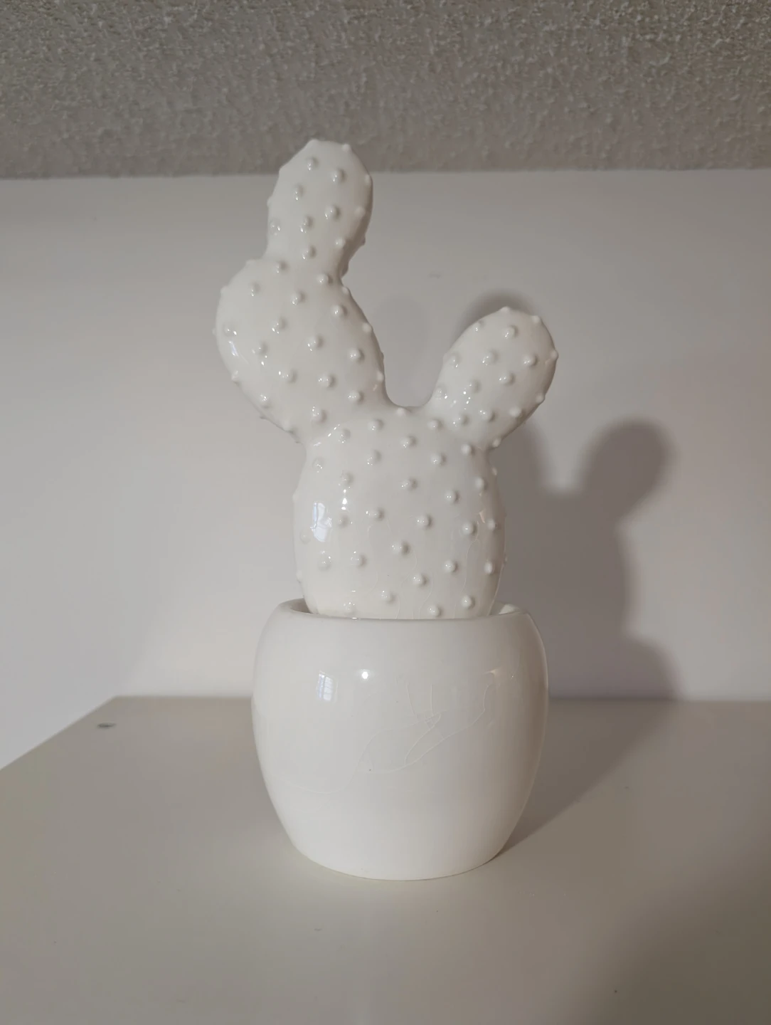 White Ceramic Cactus Decoration