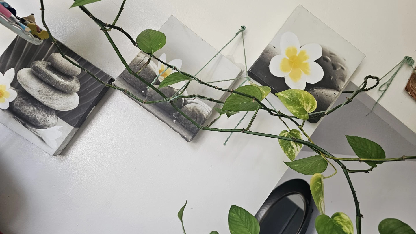 Zen Stone and Flower Canvas Art Prints - photo 2