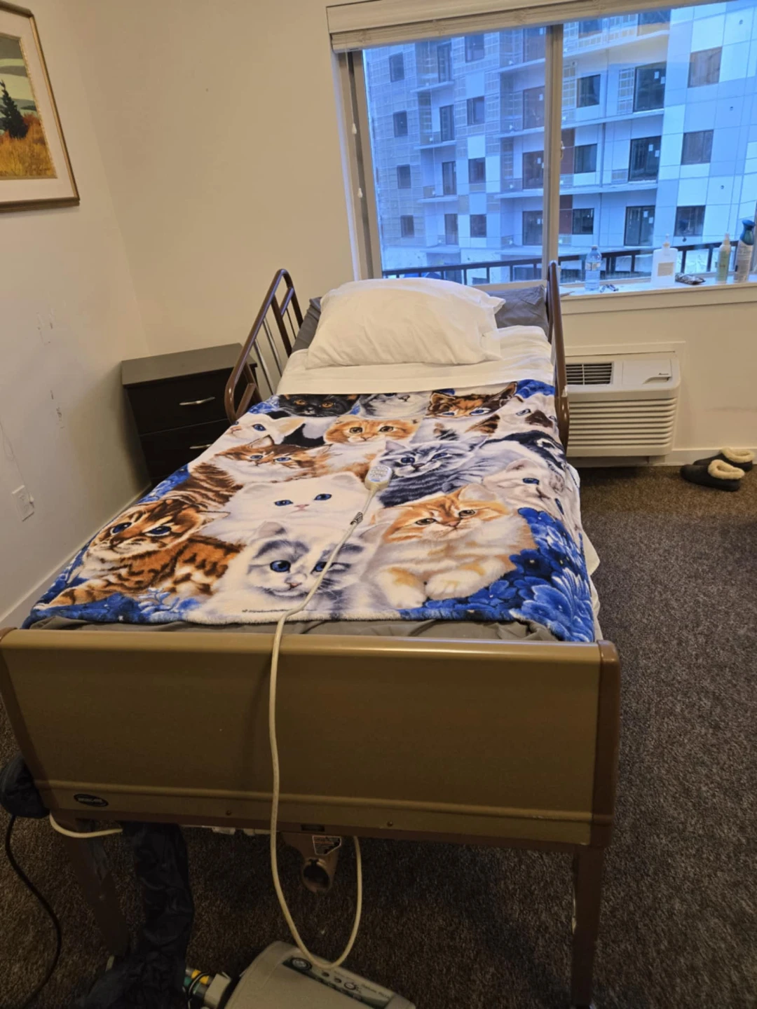 Adjustable Hospital Bed
