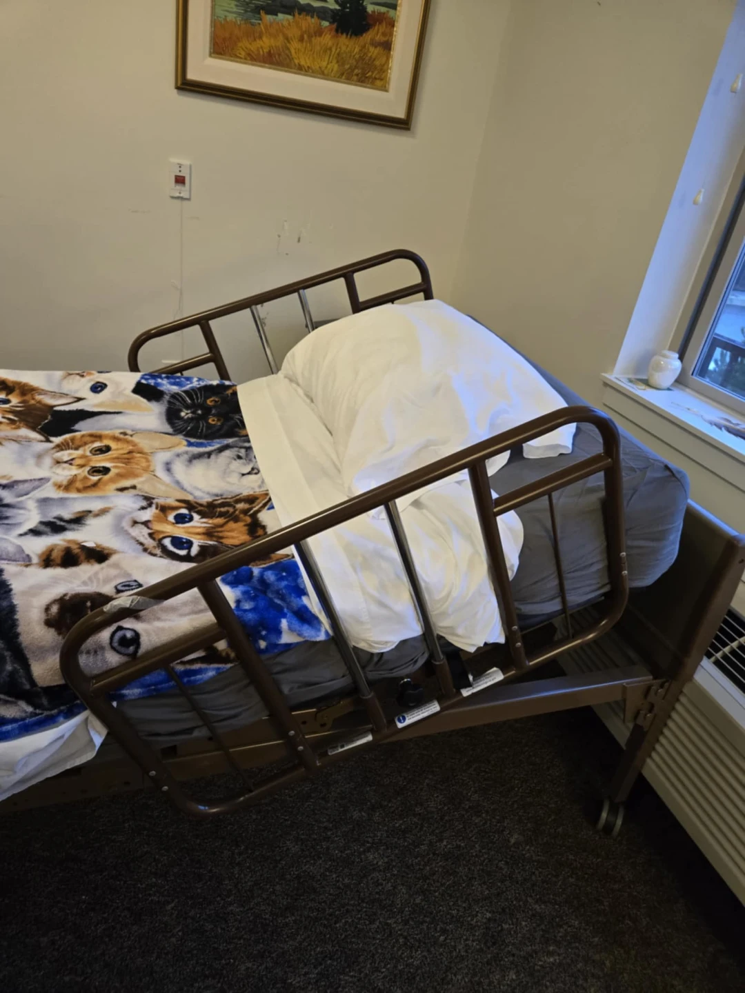 Adjustable Hospital Bed - photo 3