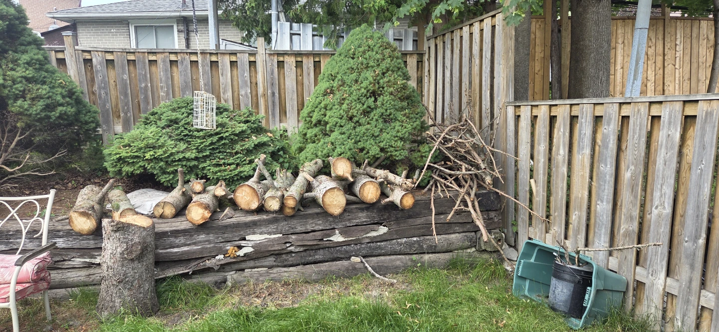 Free fire wood. - photo 3