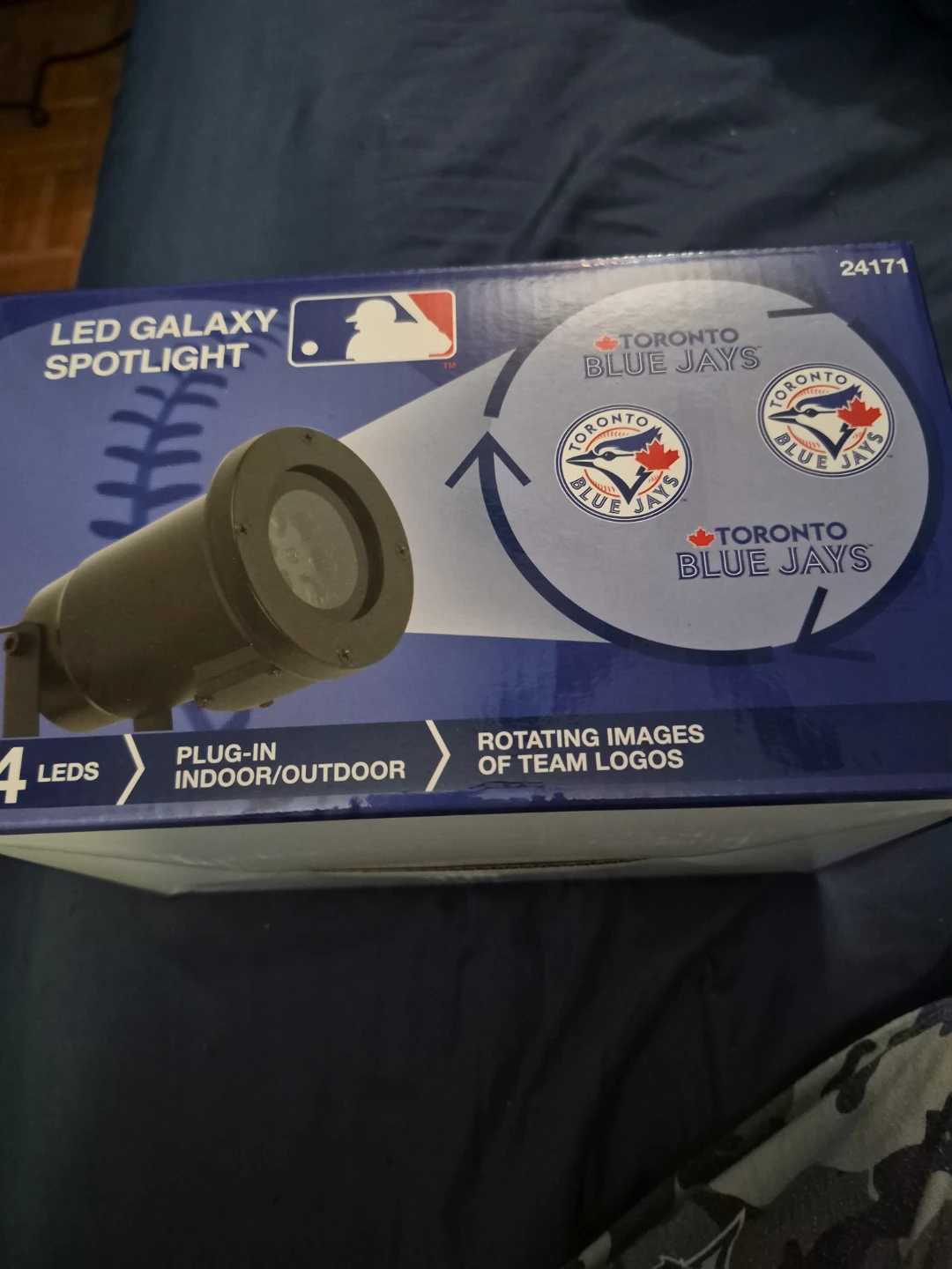 Blue jays  in box
