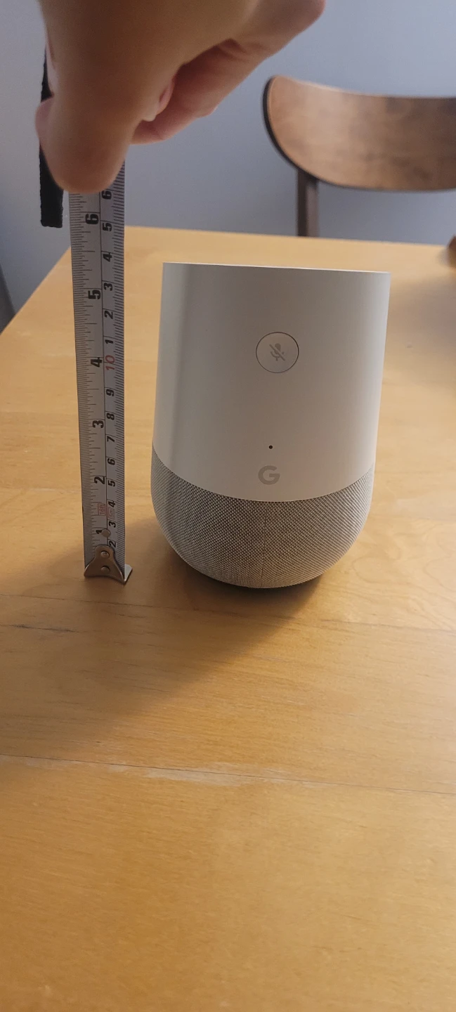 Google Home (Google Nest)
