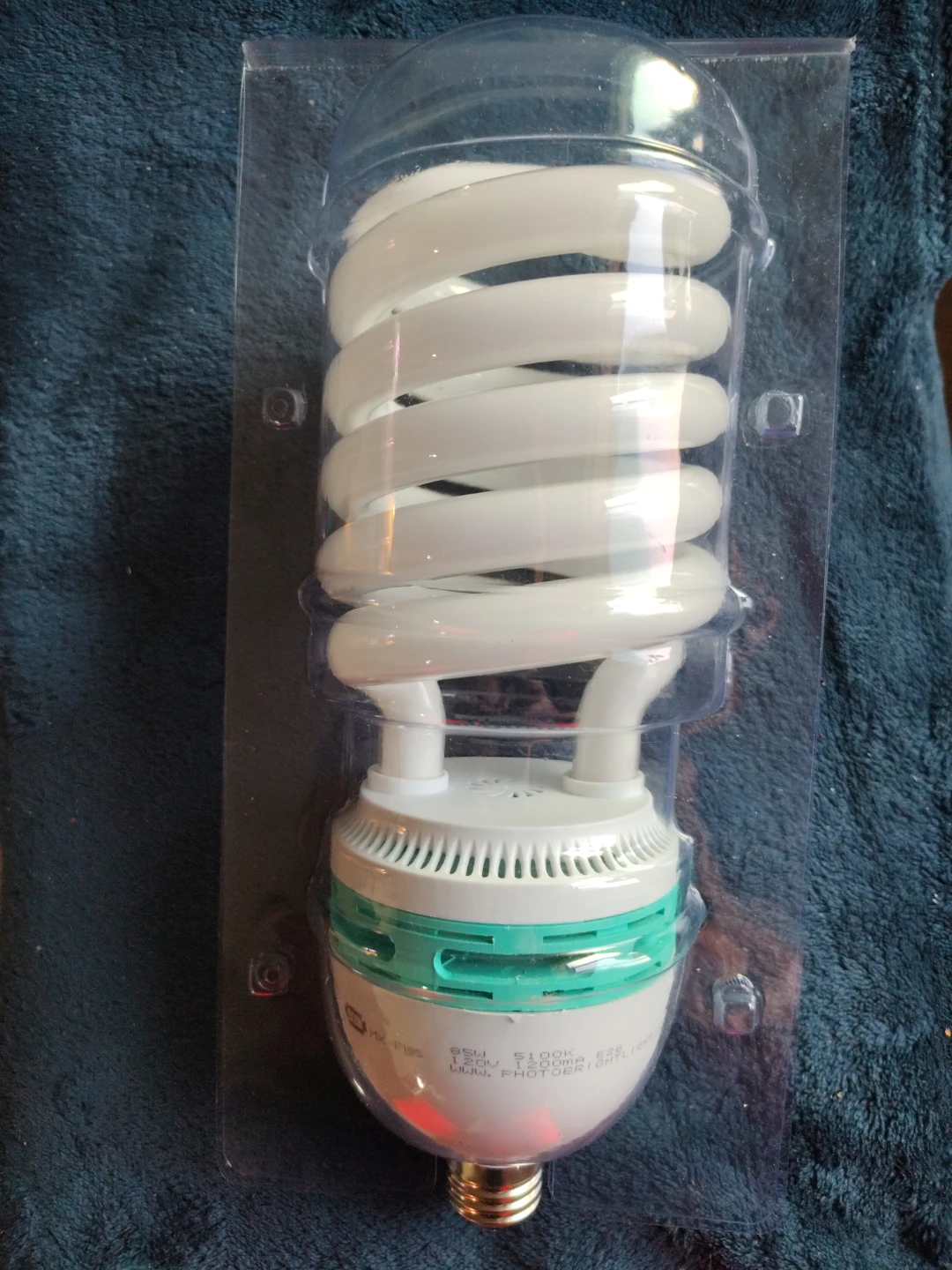 Compact Fluorescent Light Bulb