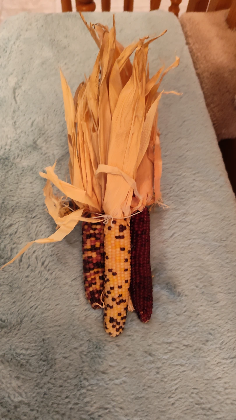 Decorative Corn Husk Crow Figurine - photo 4