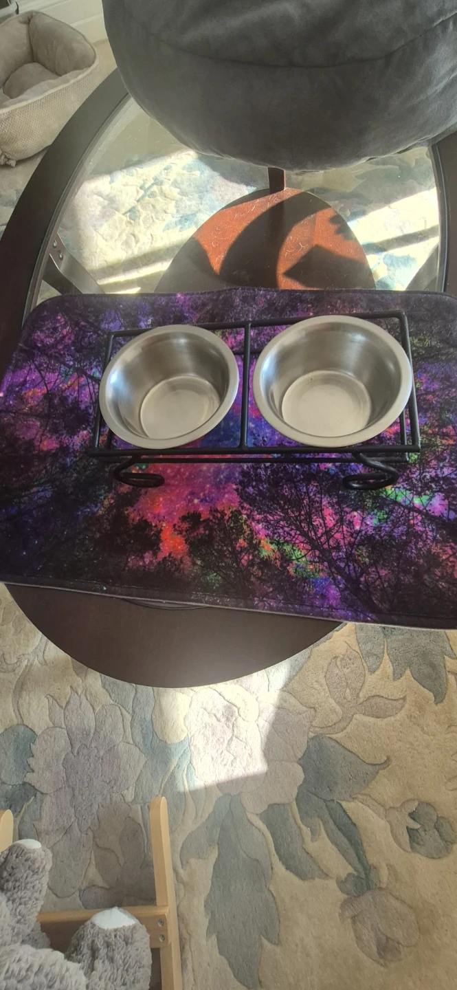 Elevated Double Pet Bowls