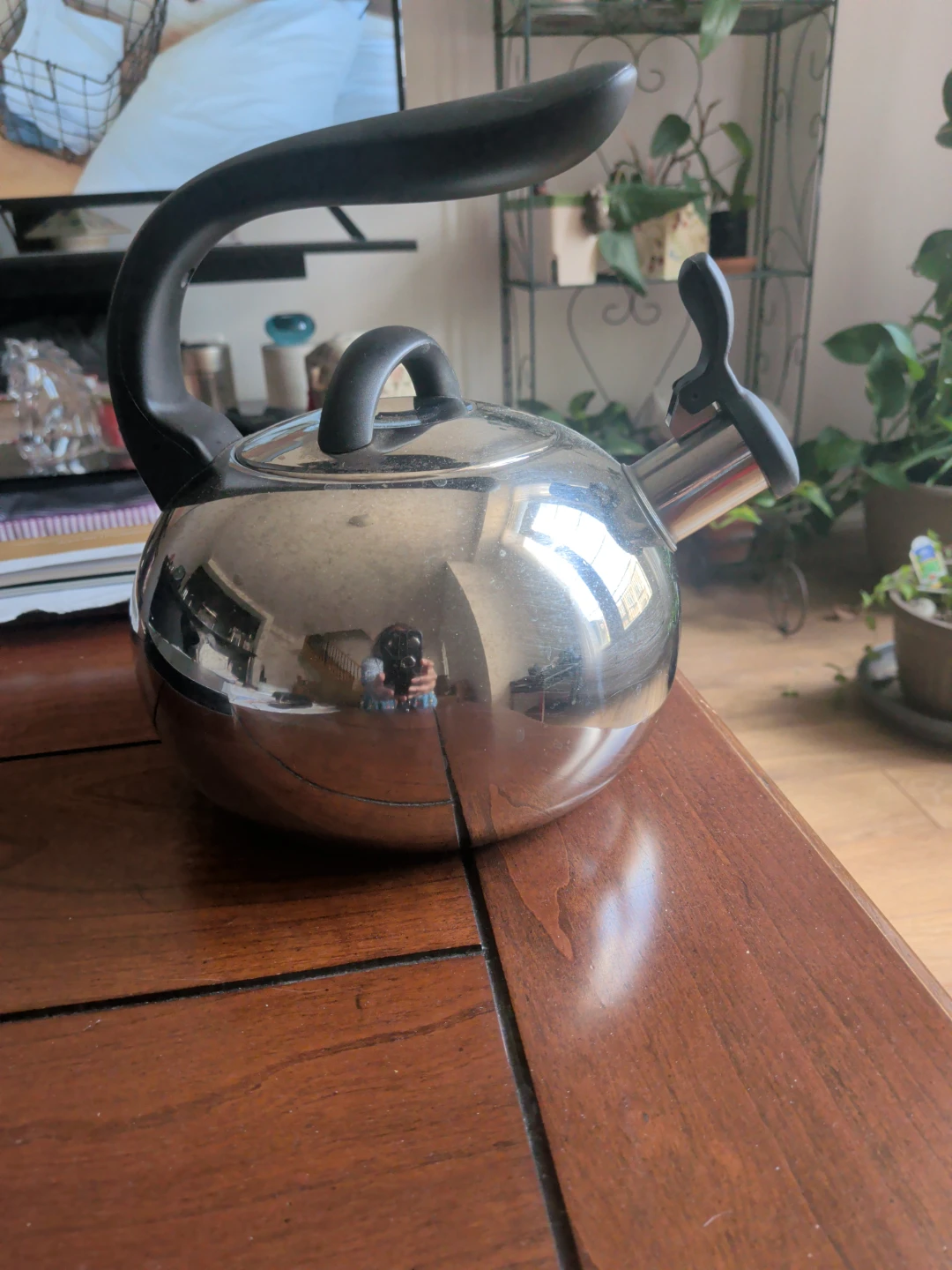Paderno  Stainless Steel Whistling Kettle