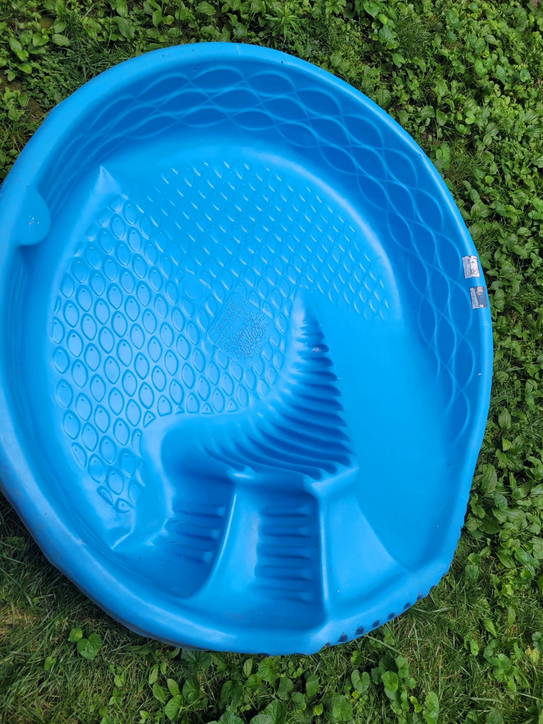 Little Tikes Fishy Play Pool