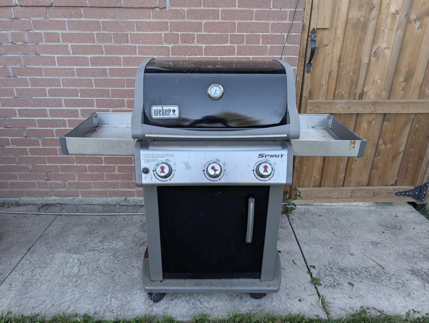 Weber Spirit Gas Grill