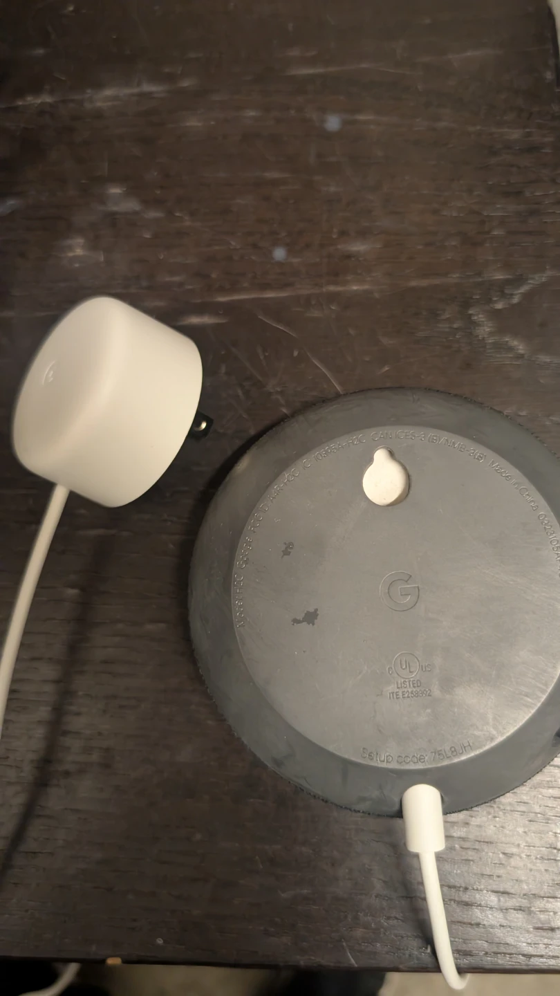 Google Nest Mini Smart Speaker